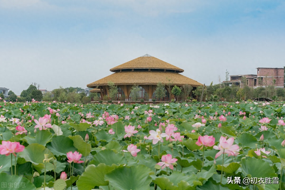 六月经典诗词大全（季夏六月月令美词六首）