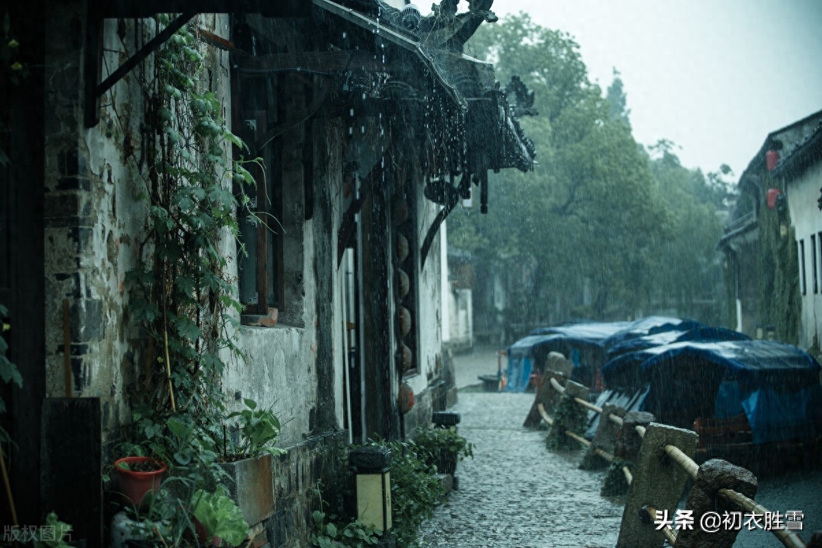 梅雨季五首赏析（梅雨洒芳田，黄梅雨气蒸）