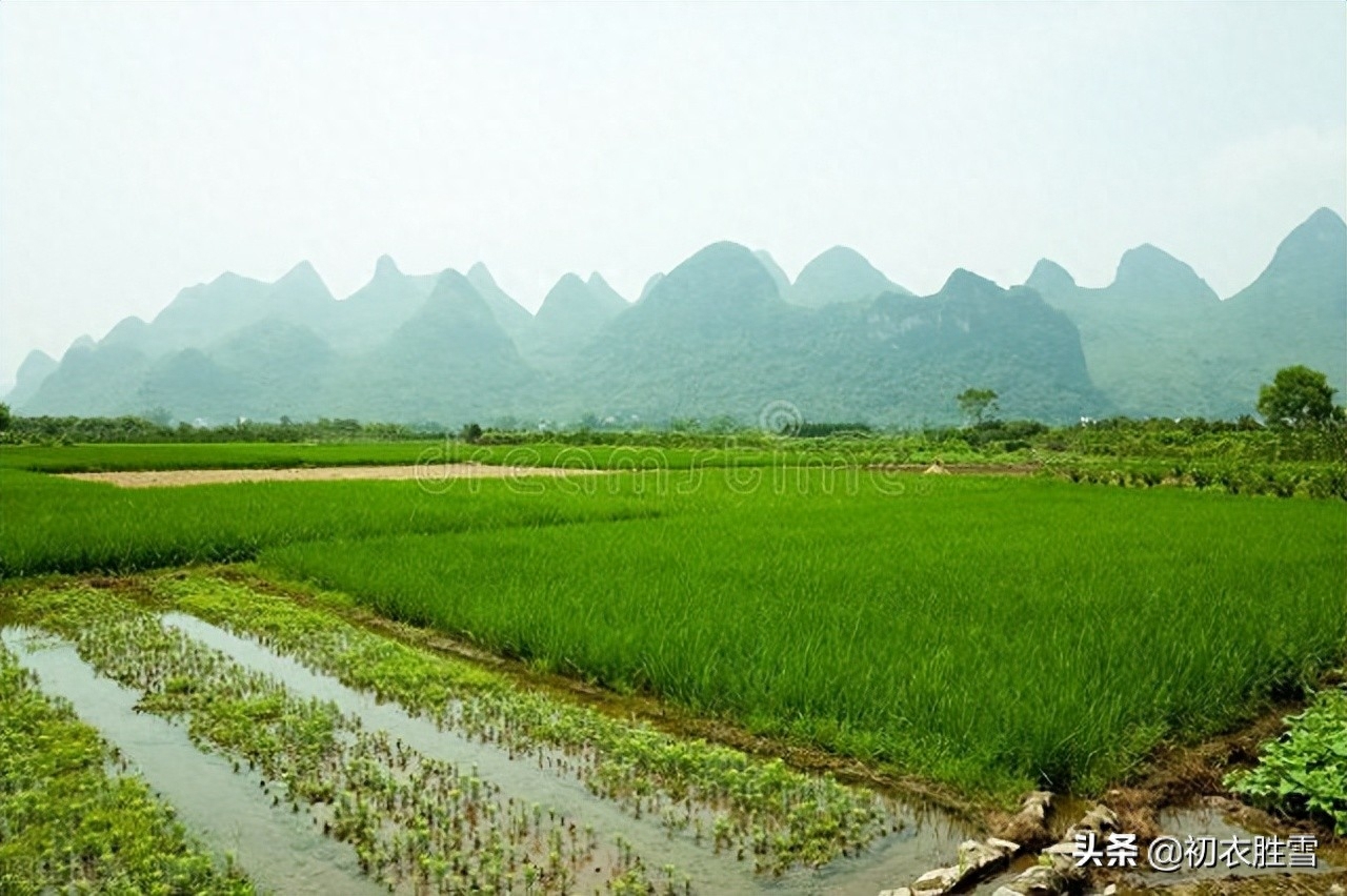 小满经典诗词大全（二十四节气之小满七首）