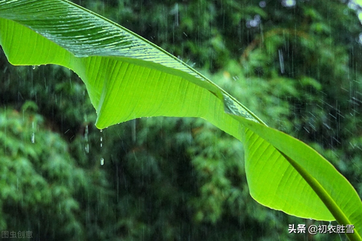 相思经典诗词大全（夏日长相思美词七首）