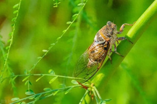 抒怀经典诗词句（夏日抒怀诗词16首）