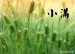 小满节气经典诗词诗句（小满节气咏怀诗词20首）