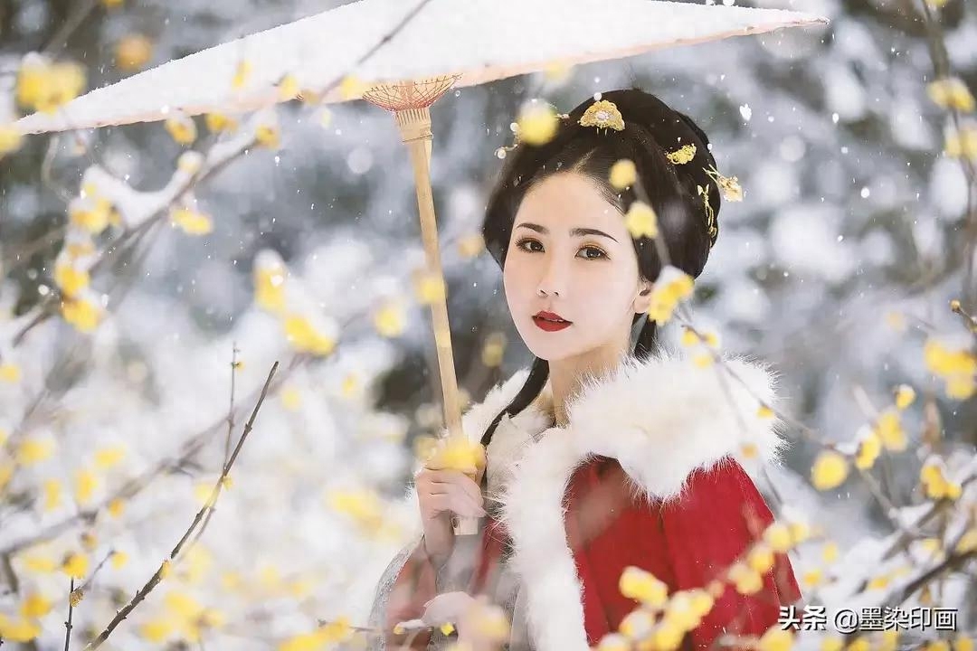 傲雪梅花放，疏枝岭上新（咏梅诗词22首）