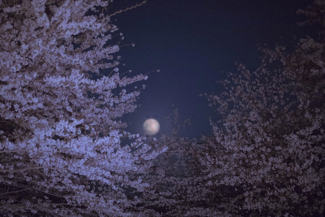 羽衣常带烟霞色，不惹人间桃李花（10首道教神仙诗词）