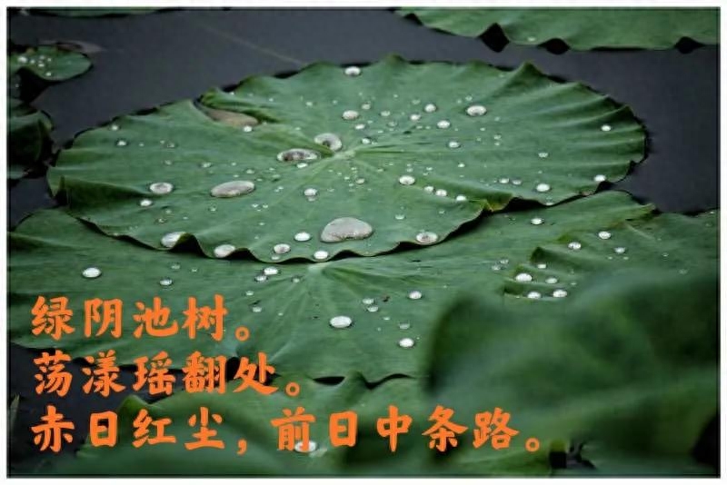 大暑节气诗词鉴赏（大暑三秋近，林鐘九夏移）