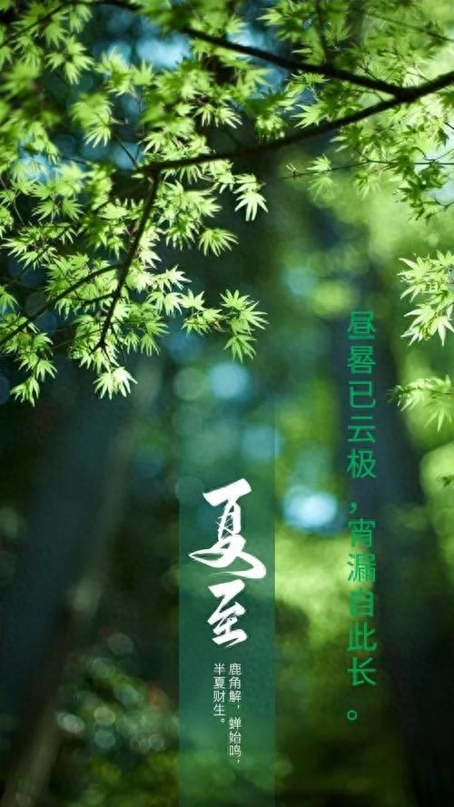 夏至时节学古诗词赏析（夏至节气著名古诗）