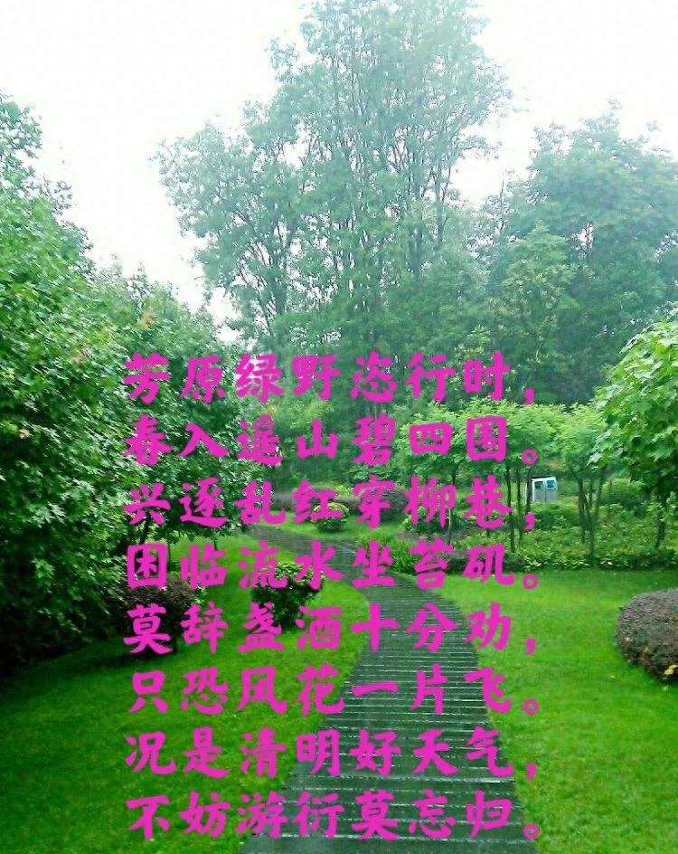 赞美清明时节古诗词赏析（借问酒家何处有？牧童遥指杏花村）