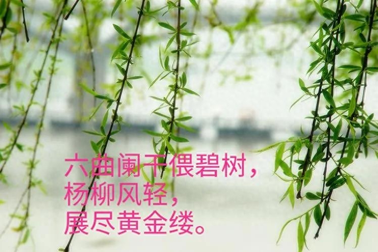 赞美清明时节古诗词赏析（借问酒家何处有？牧童遥指杏花村）