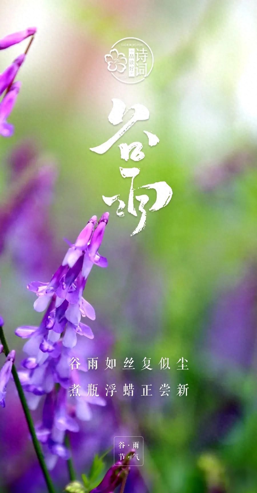 谷雨唯美古诗词句（春色阑珊，春光将逝）