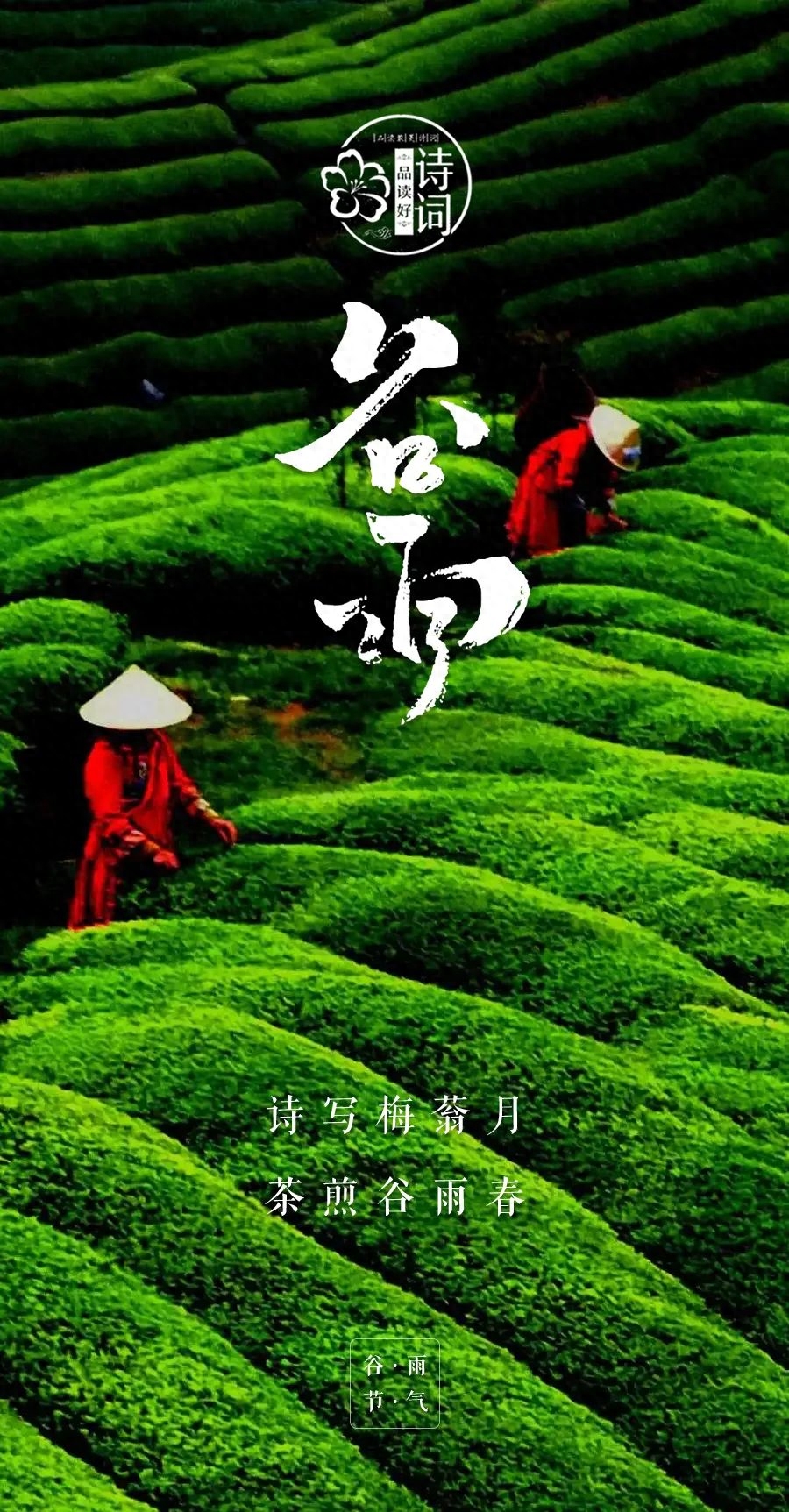 谷雨唯美古诗词句（春色阑珊，春光将逝）