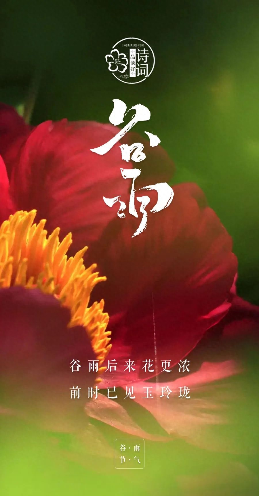 谷雨唯美古诗词句（春色阑珊，春光将逝）