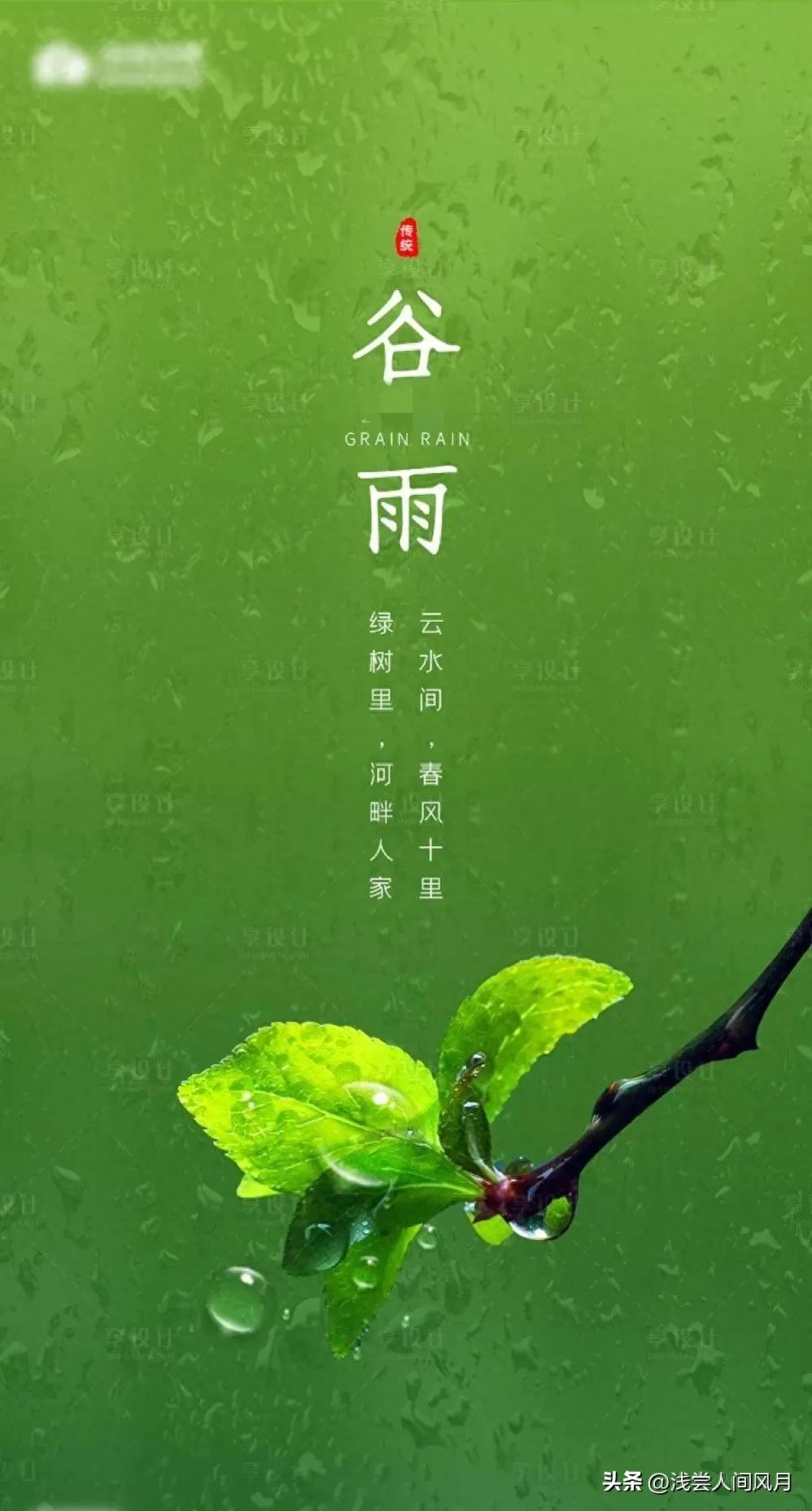 谷雨唯美古诗词句（雨生百谷暮春至，芳华再启初夏时）