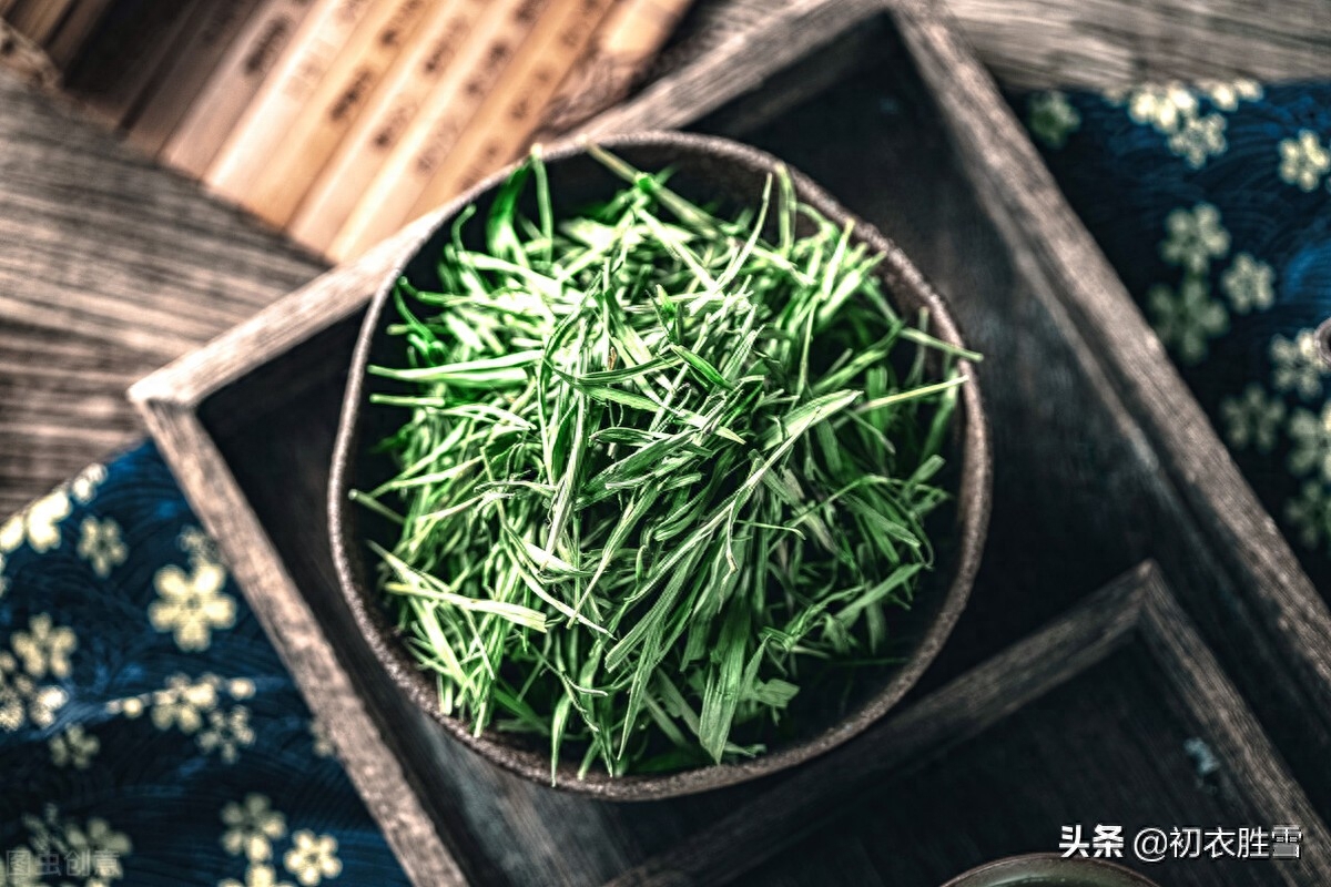 谷雨节气古诗六首鉴赏（谷雨晴时正摘茶，茶户初收谷雨芽）