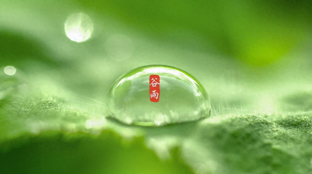 有关谷雨的唯美诗词赏析（二十四节气谷雨古诗词）