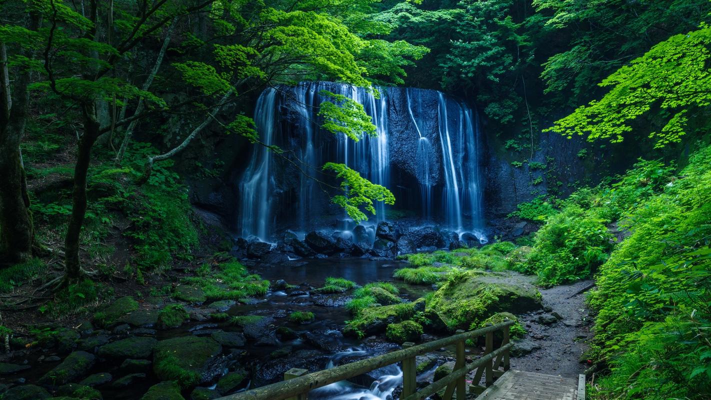 不一样的风景叙事作文（《迷人的风景》）