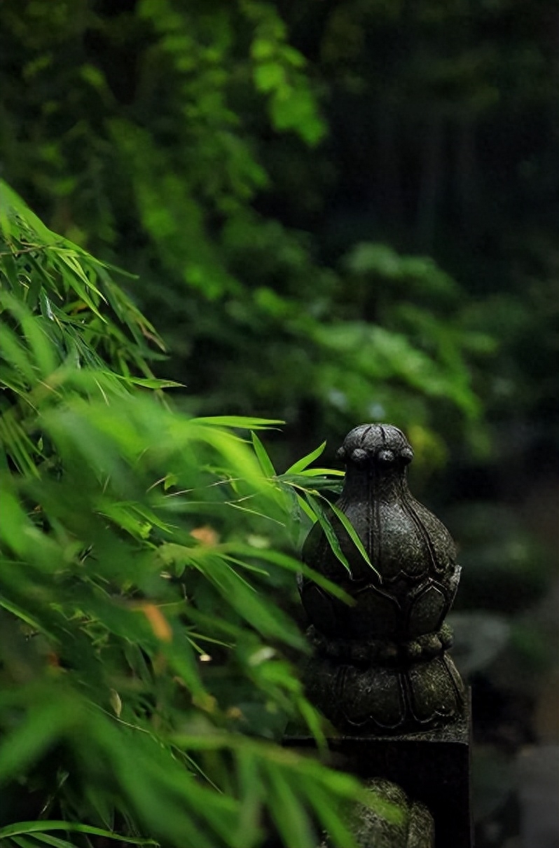 唯美秋天诗句赏析（十二首有关初秋雨的诗）