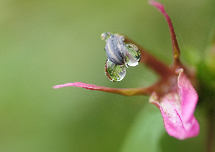 形容雨过清新的诗句赏析（有关雨后的唯美诗句）