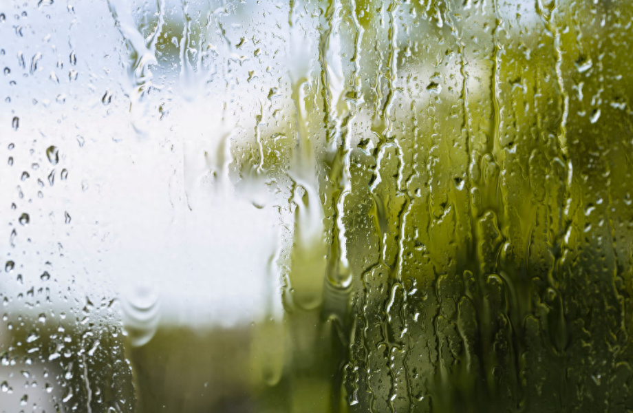 表达下雨的心情优美诗句（十首有关对雨的诗词）