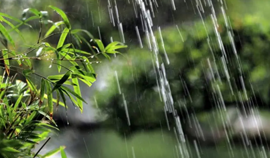 表达下雨的心情优美诗句（十首有关对雨的诗词）