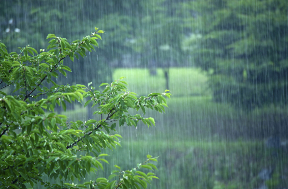 表达下雨的心情优美诗句（十首有关对雨的诗词）