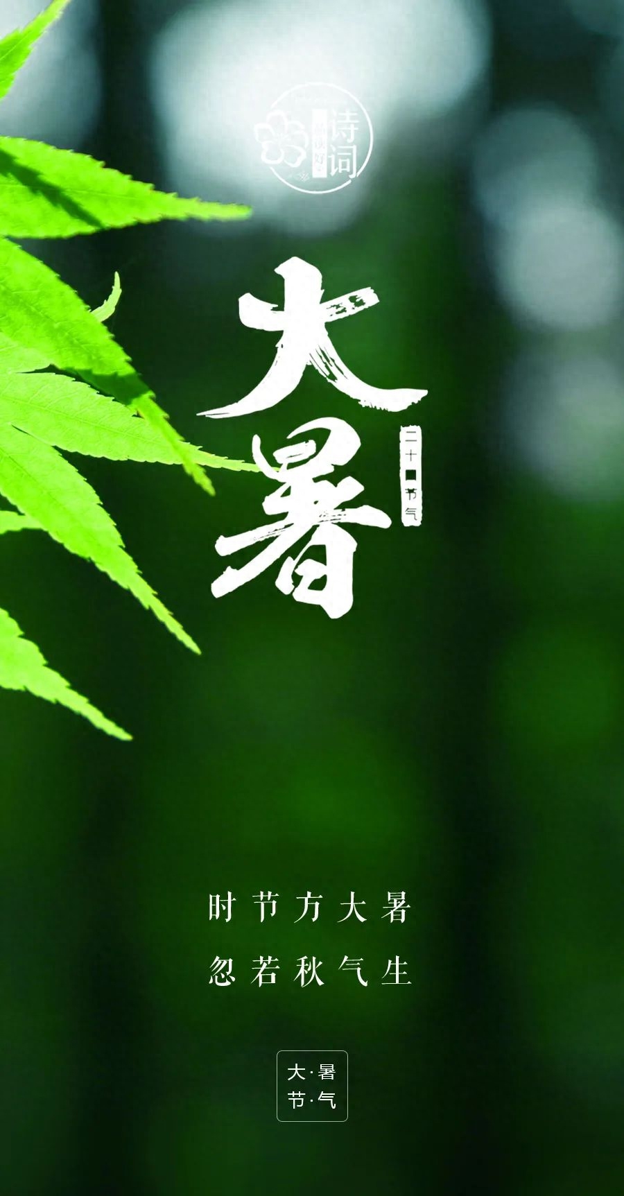 大暑唯美诗词摘抄（赞美大暑景色的唯美诗词）