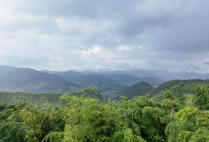 那些美丽的春天风景作文（《田园的风景》）