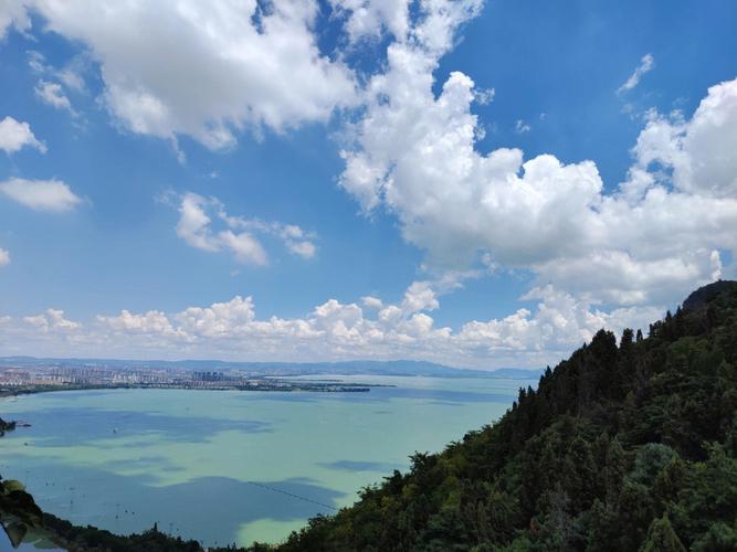 那些美丽的春天风景作文（《沿途的风景》）