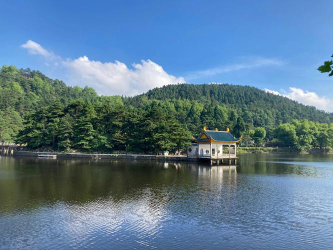 我爱故乡的风景优秀作文（《别样的风景》）