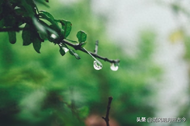 听雨经典诗词有哪些（六首听雨的诗词）