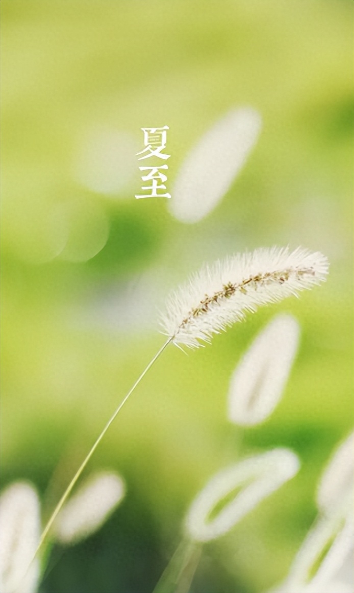 蝉鸣林语间，盛夏日已至（12首夏至的唯美诗词）