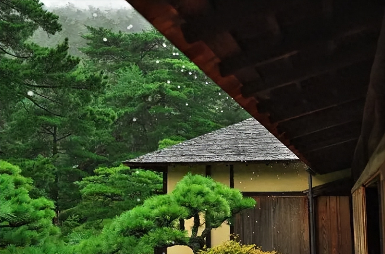 夏早日初长 南风草木香（关于早夏的优美诗句）