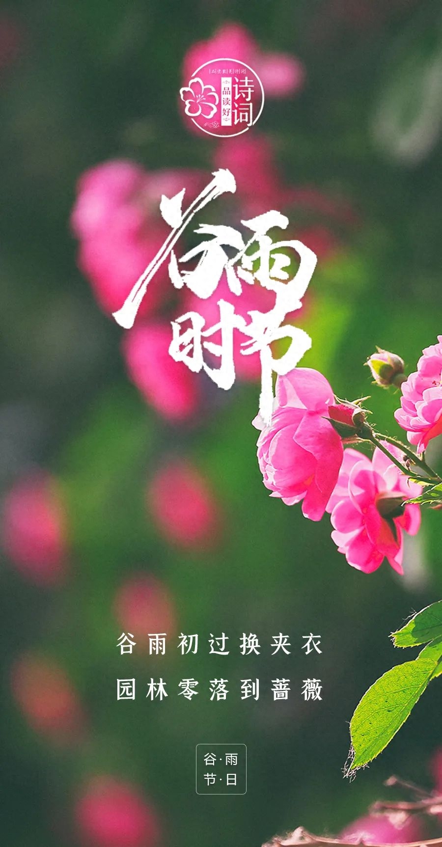 谷雨诗词古句大全（二十四节气谷雨诗词古句）