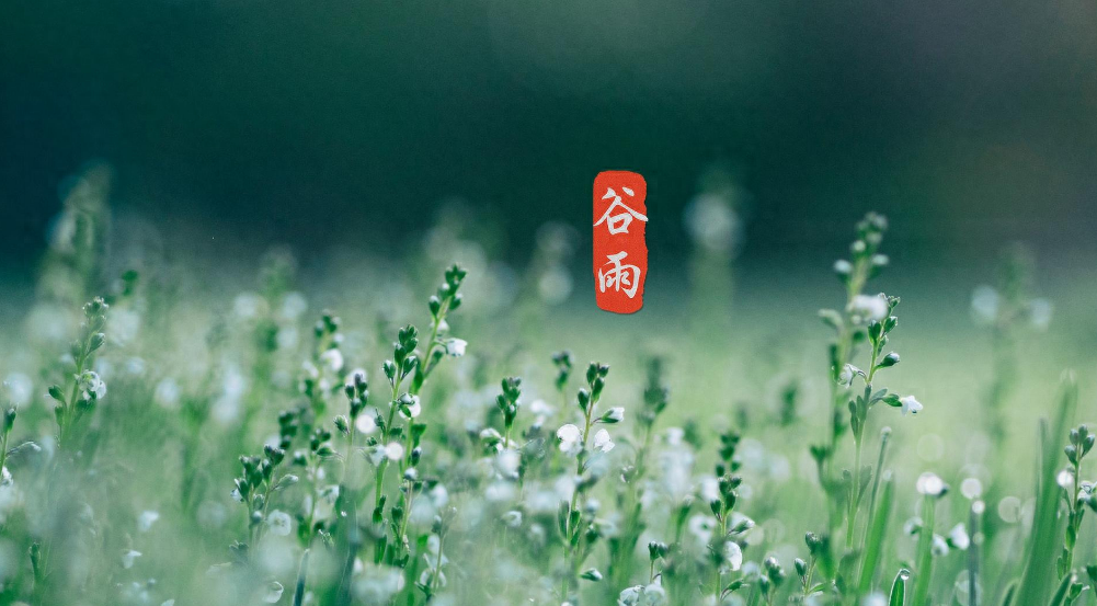 谷雨诗词古句大全（二十四节气谷雨诗词古句）