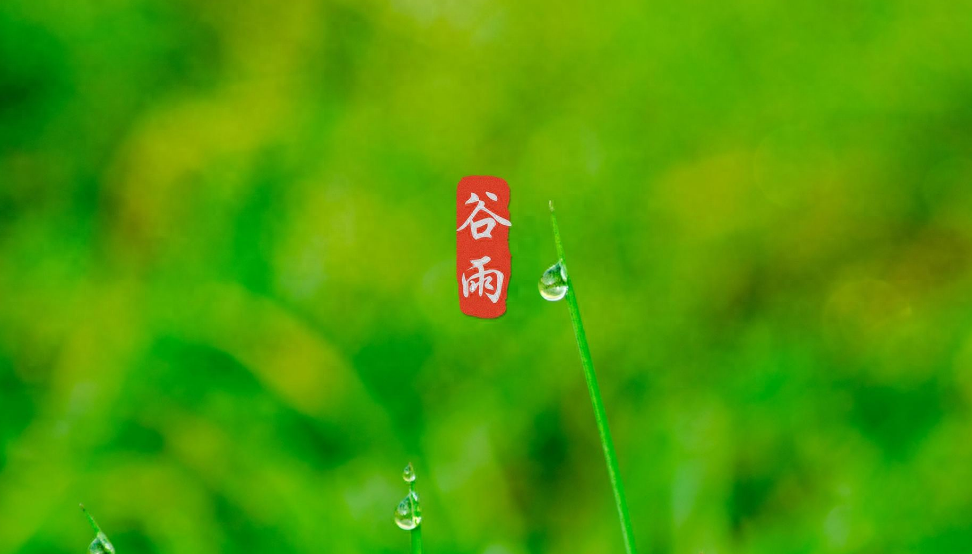 二十四节气谷雨诗词古句（有关谷雨的唯美诗词）