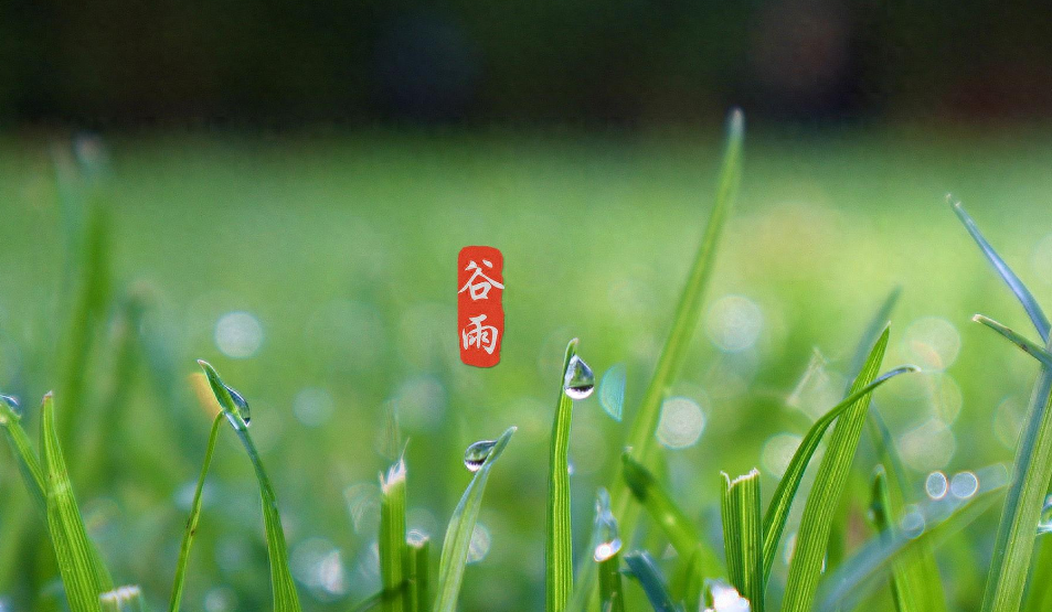 二十四节气谷雨诗词古句（有关谷雨的唯美诗词）