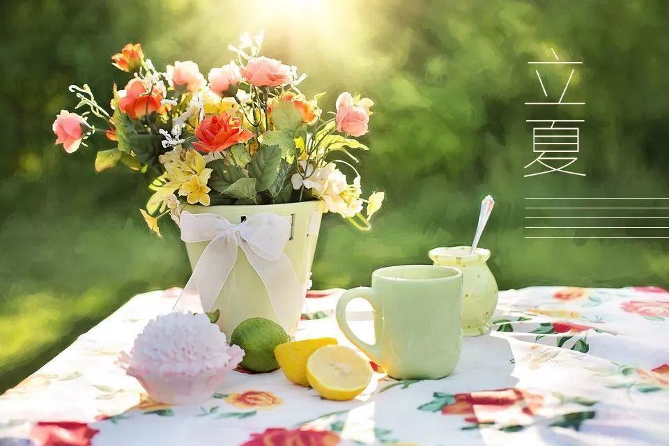 形容立夏的优美诗句赏析（10首立夏诗词）