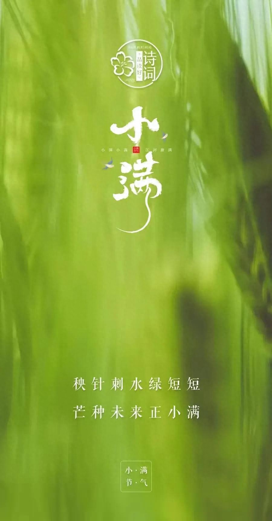 小满唯美诗词大全（6首优美小满诗词）