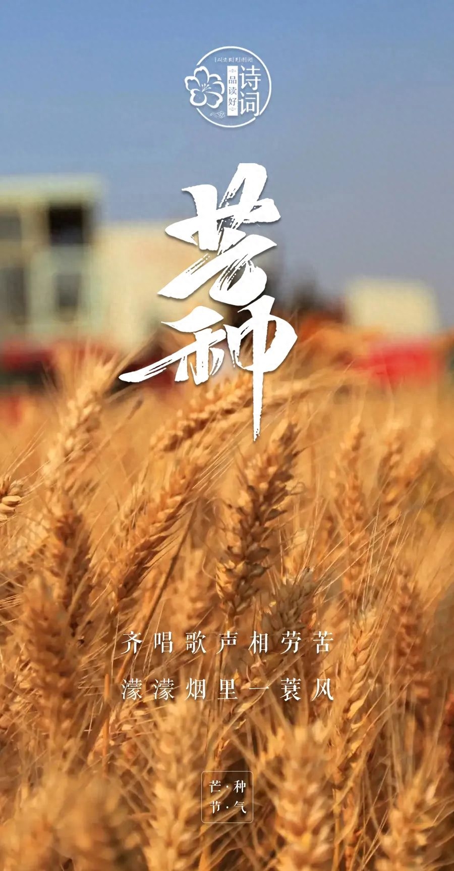 炙热梦想，自有锋芒（有关芒种的优美诗句）