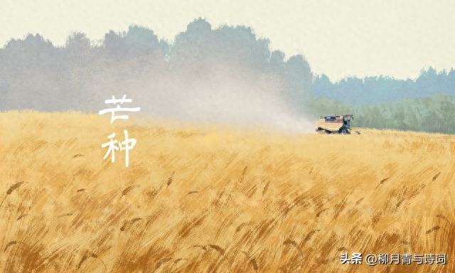 芒种不种，再种无用（三首著名的芒种时节的古诗）