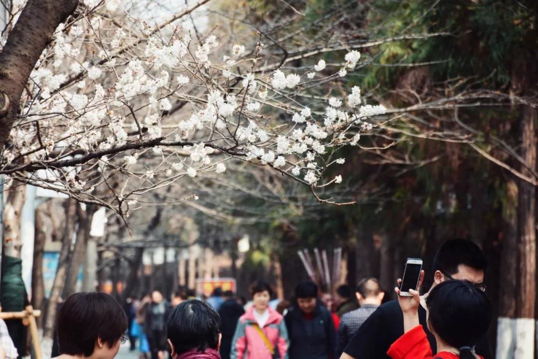 细雨鱼儿出，微风燕子斜（精选100句唯美春日诗词）