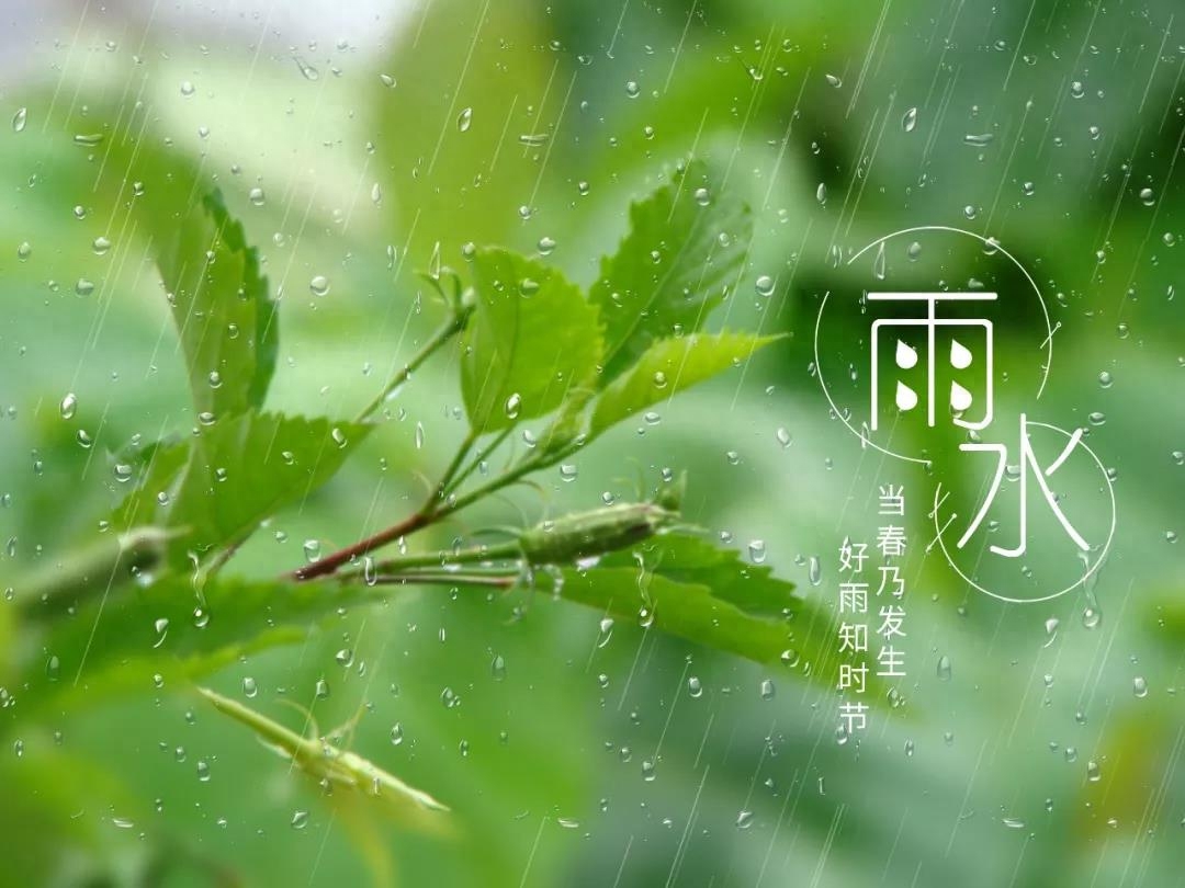 雨水经典诗词大全（描写雨水节气的唯美古诗词）