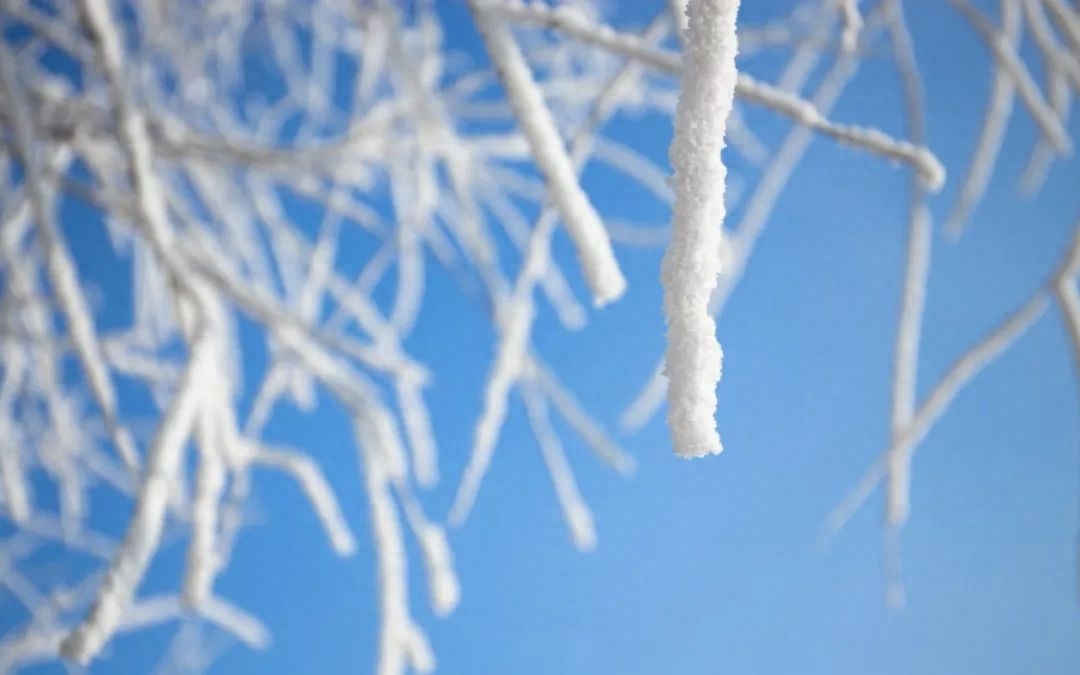 冬天经典诗词句鉴赏（描写雪景的诗词佳句）