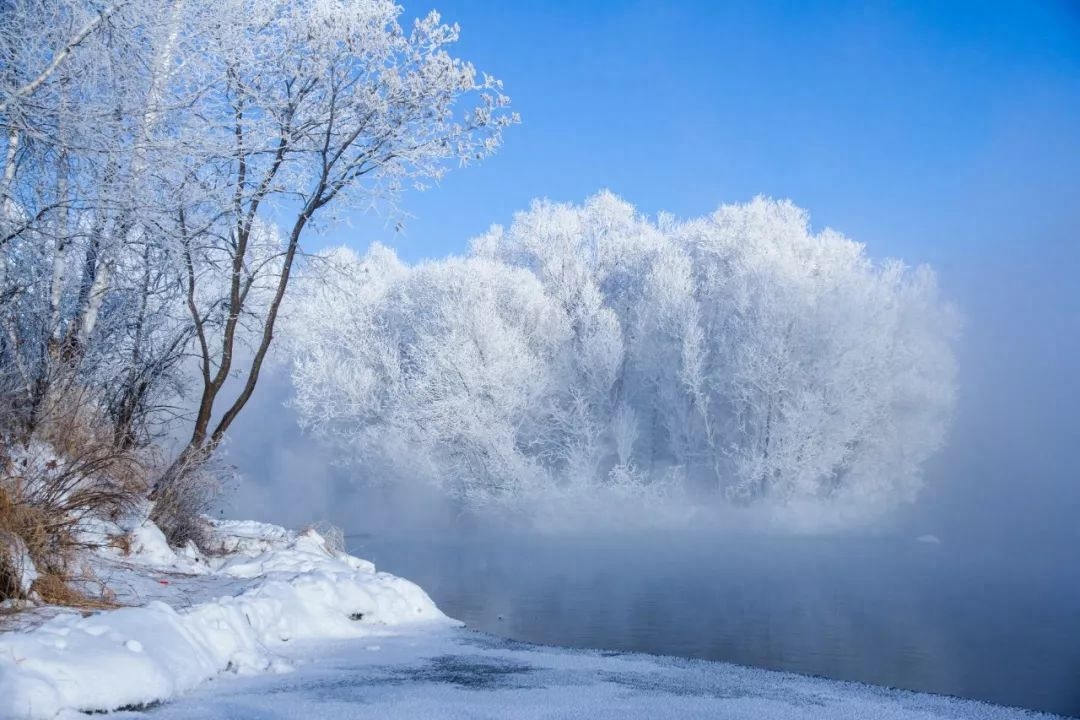 冬天经典诗词句鉴赏（描写雪景的诗词佳句）