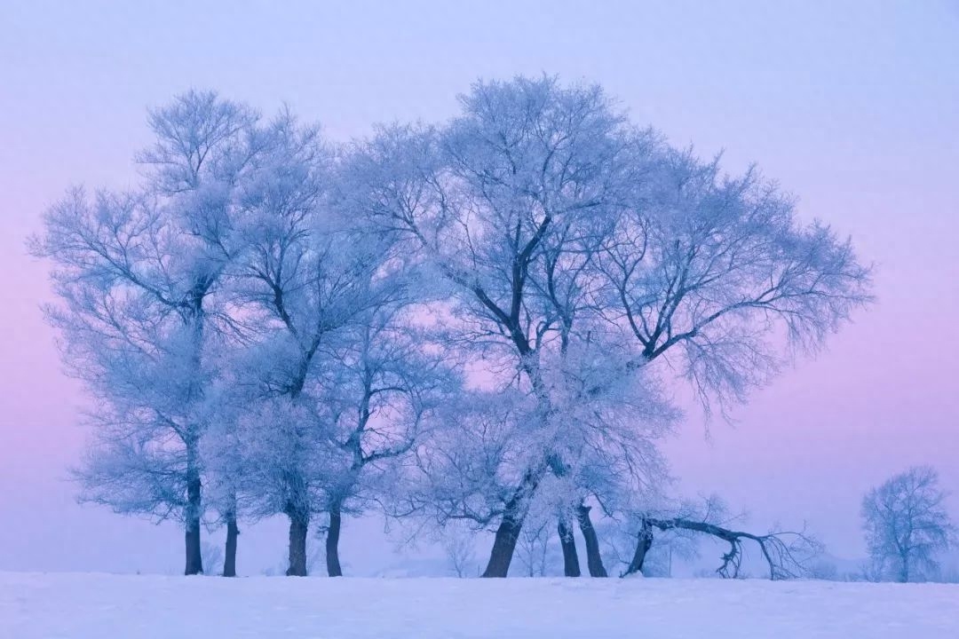 冬天经典诗词句鉴赏（描写雪景的诗词佳句）