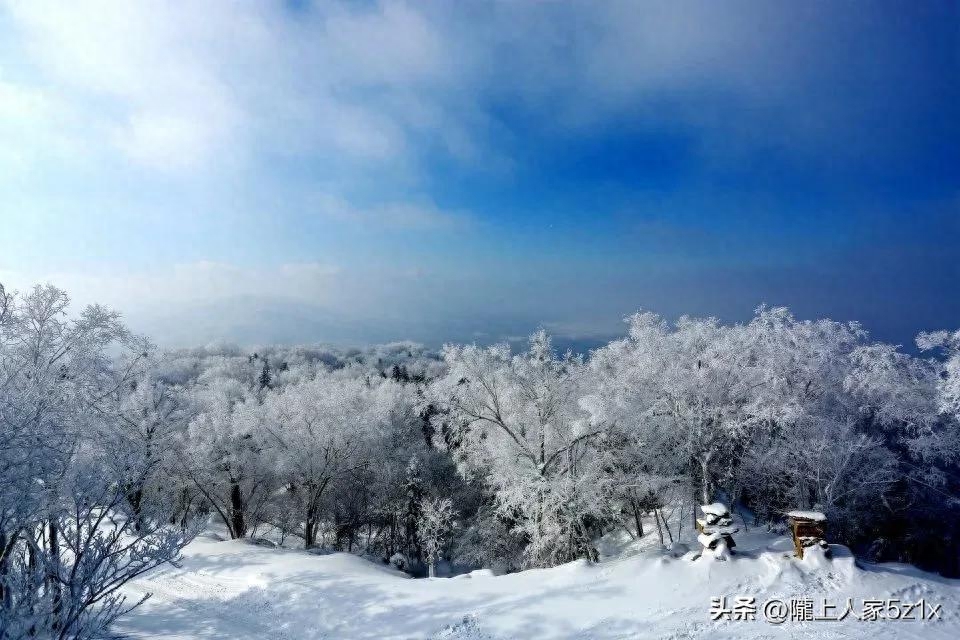 大雪经典古诗有哪些（维美的六首大雪古诗）