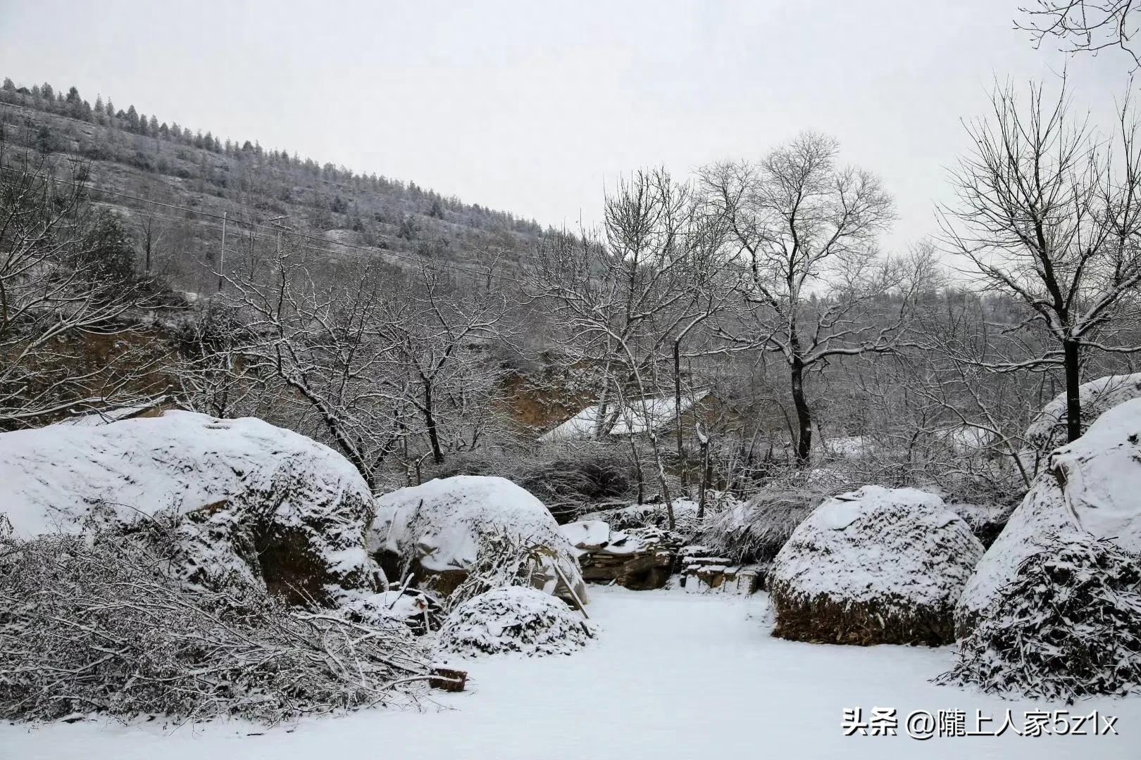 大雪经典古诗有哪些（维美的六首大雪古诗）