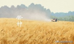 芒种不种，再种无用（三首著名芒种时节的古诗）