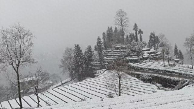 送别唯美诗词名句（十首著名大雪诗词古句）