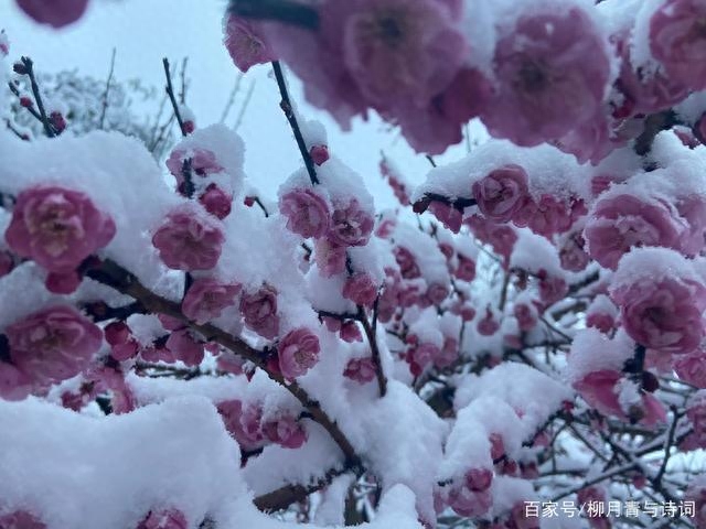 送别唯美诗词名句（十首著名大雪诗词古句）