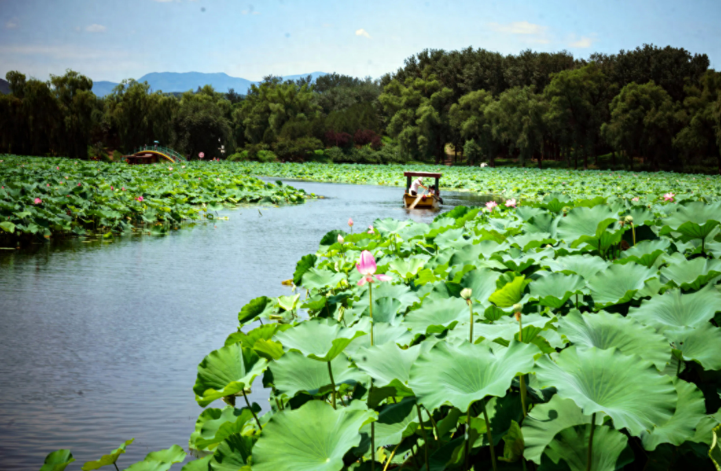 夏至唯美诗词大全（十二首消夏的诗词）